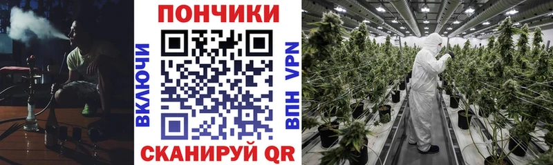 Купить наркотик аптеки Рошаль Псилоцибиновые грибы МЕГА зеркало СК МАРИХУАНА