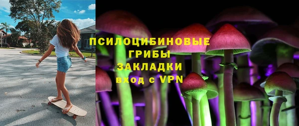 бошки Алексин
