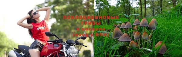 мескалин Алексеевка